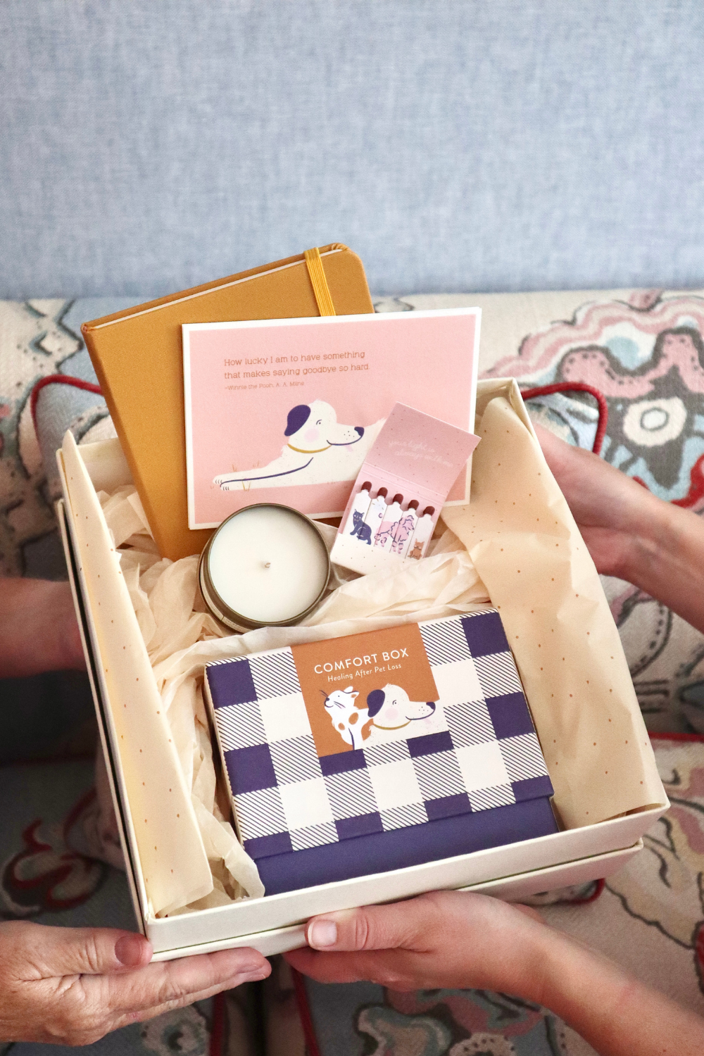 Biscuit and Bertie case study preview